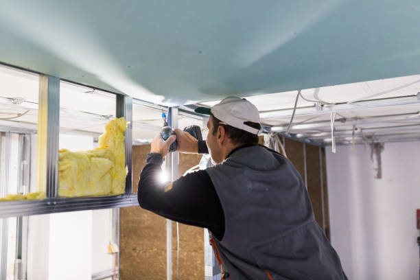 Best DIY Insulation Kits and Guidance in Pella, IA