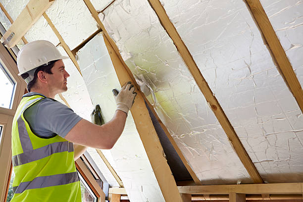 Best Blown-in Insulation in Pella, IA