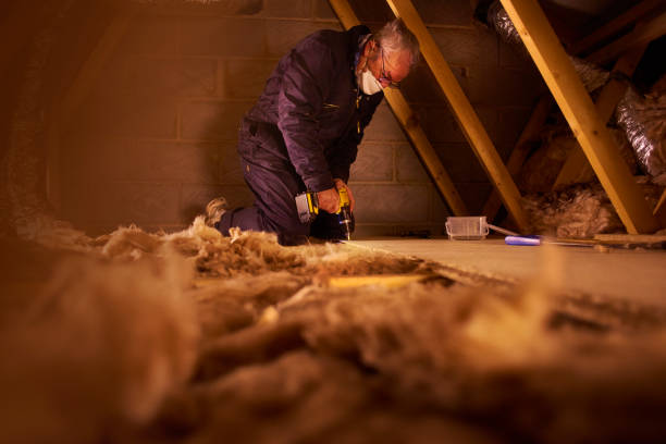 Best Insulation for Specific Applications in Pella, IA